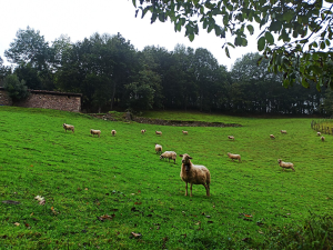 AGRI